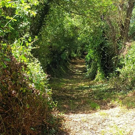 Gite Du Haut Bresil Montmartin-en-Graignes Extérieur photo